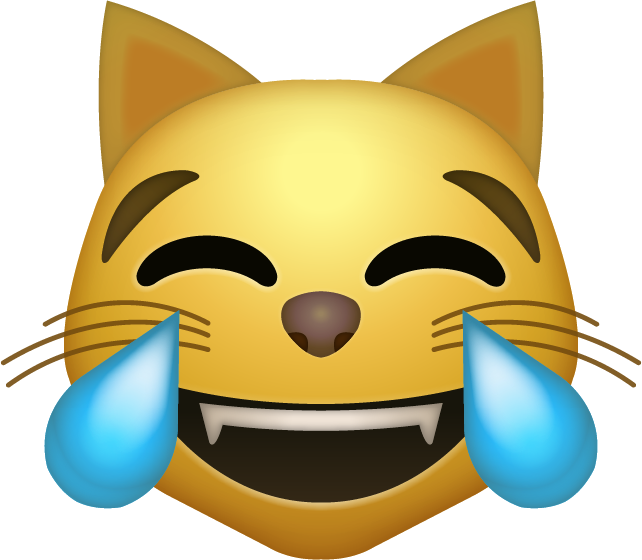 642x560 Tear Cat Emoji