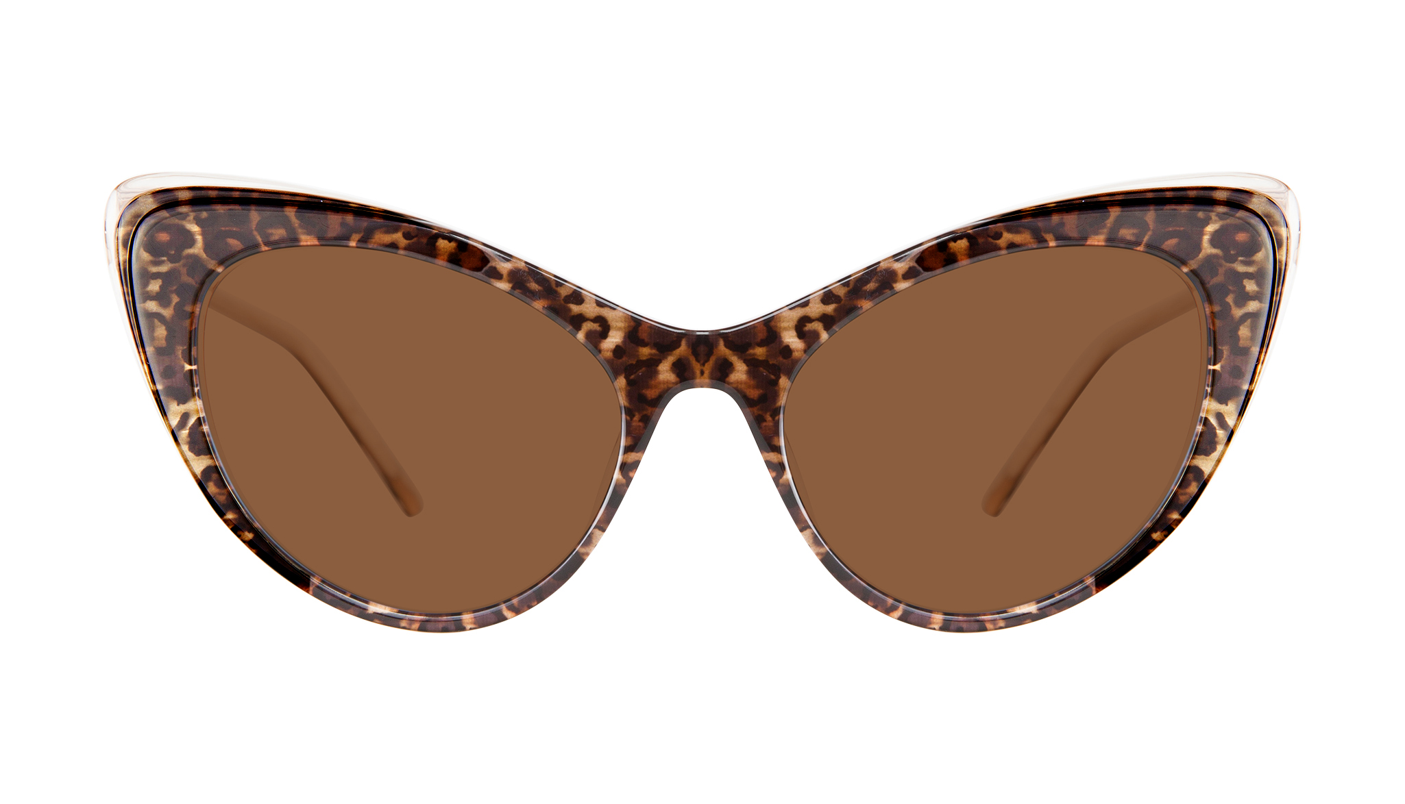 Women's Sunglasses 2050x1174 Women's Sunglasses