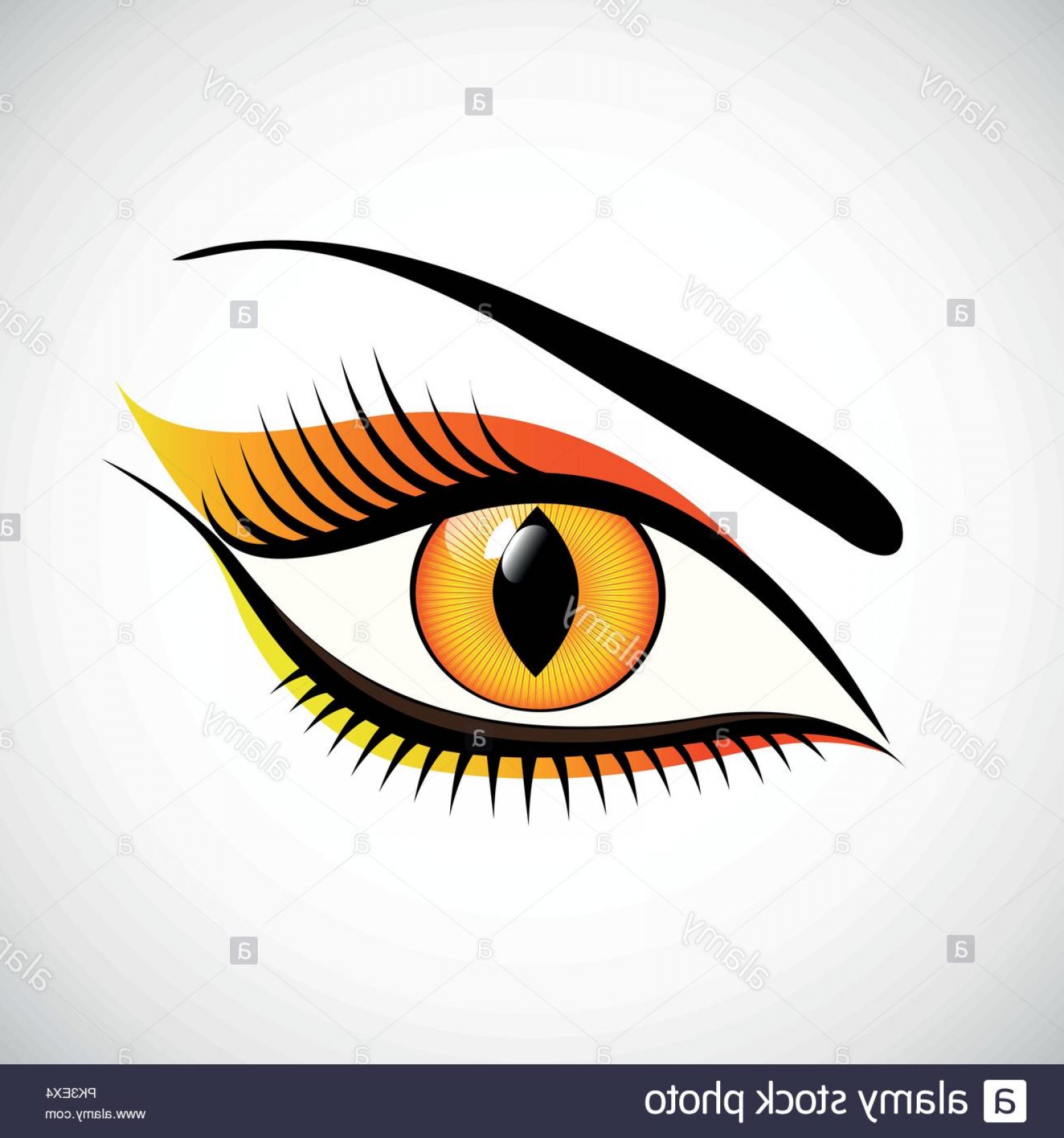 Cat Eye Vector at Vectorified.com | Collection of Cat Eye Vector free ...