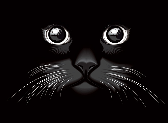 680x497 Black Cat Eyes Vector Background
