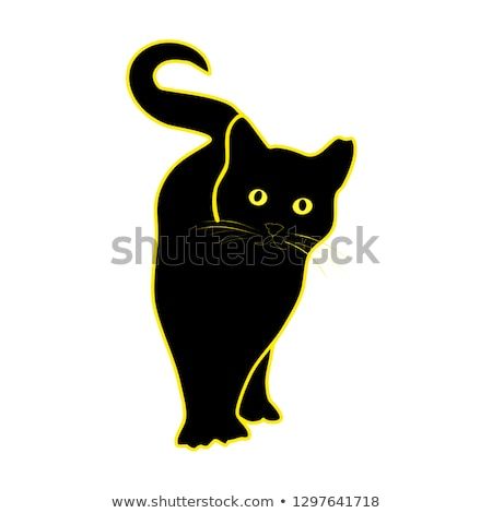 450x470 Vector Eye Black Cat Yellow Eyes Vector