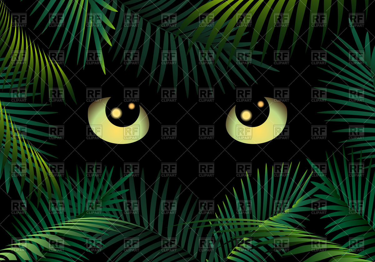 1200x840 Wild Cat Eyes In Dark Night Forest Vector Image Of Fonts Type