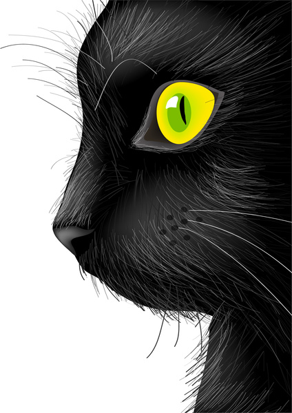 Cat Eye Vector At Collection Of Cat Eye Vector Free