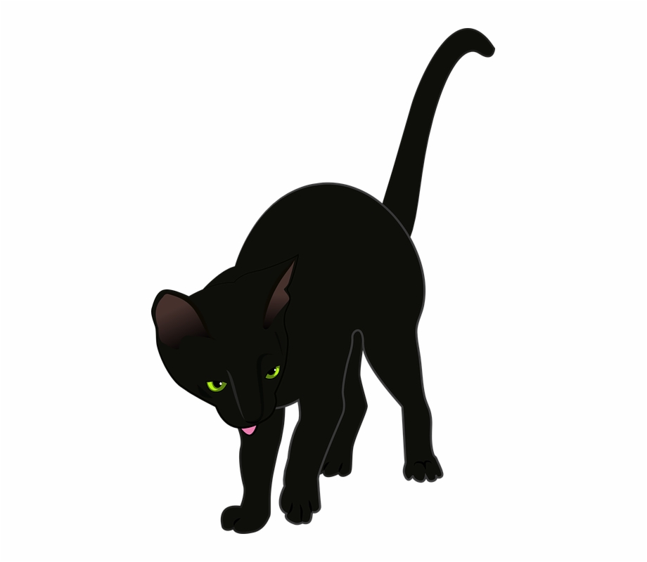 920x800 Cat, Black, Vector, Animals, Cat's Eye, Black Cat