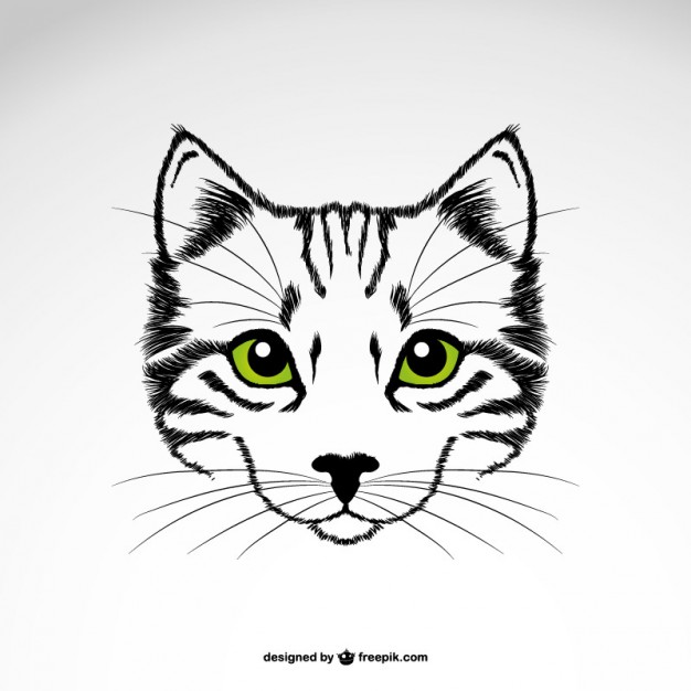 626x626 Cat Eye Vectors, Photos And Free Download