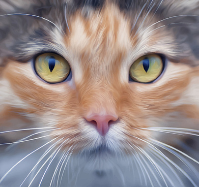 391x368 Cat Face Vector Free Vector Download