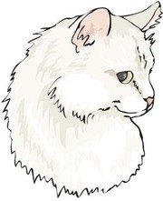 180x221 Free Cat Face Clipart And Vector Graphics