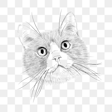 360x360 Cat Head Vector Png, Vector, And Clipart With Transparent