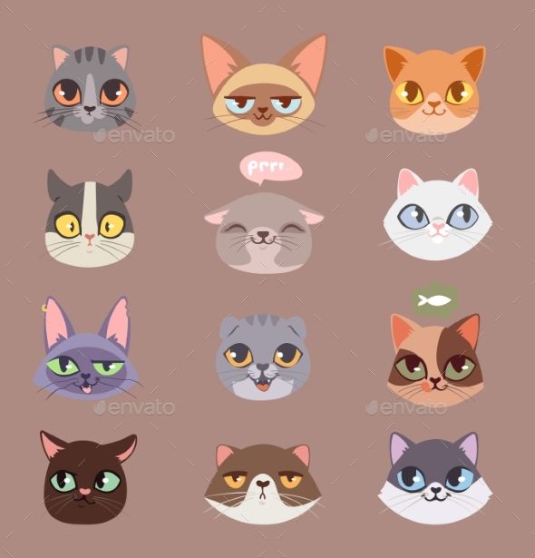 590x615 Cats Vector Heads Illustration Fonts Logos Icons Cat Vector