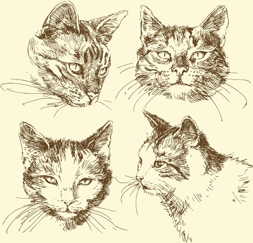 496x477 Hand Drawn Cat Head Vector Free Vector In Encapsulated Postscript