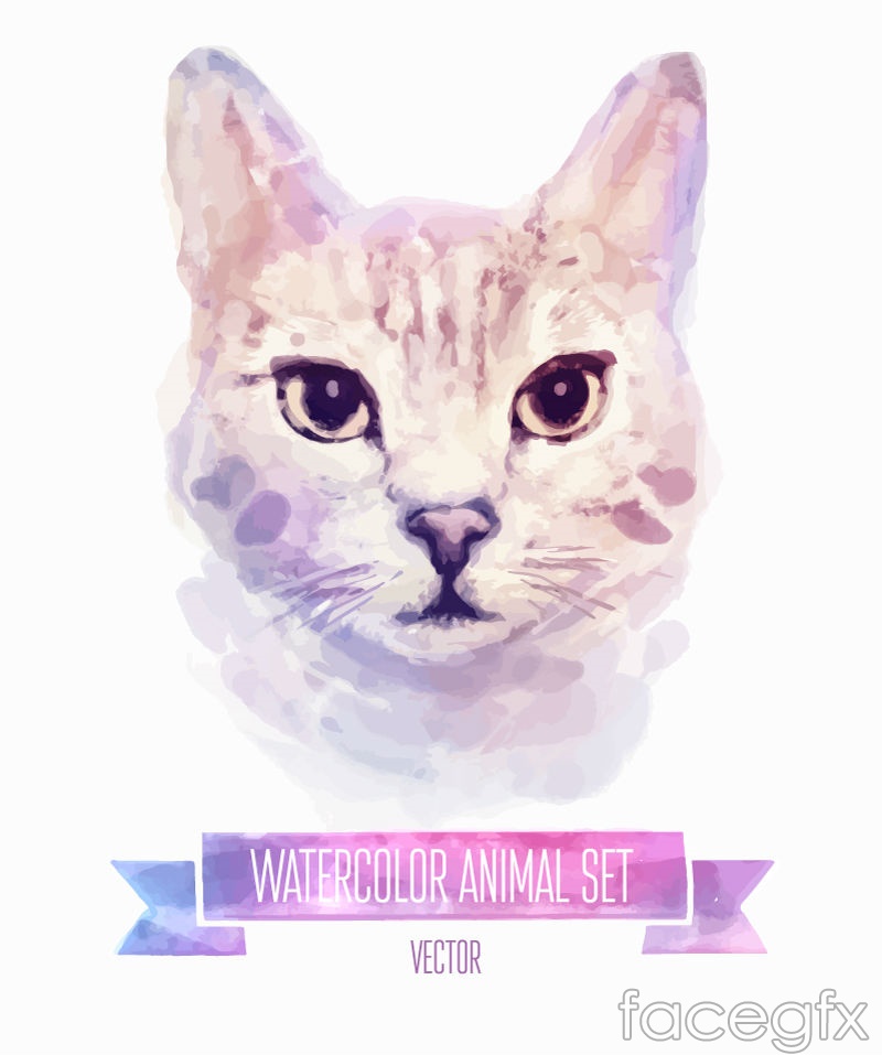 800x957 Watercolor Cat Head Vector Over Millions Vectors, Stock Photos