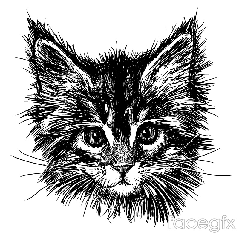 Cat Head Vector at Vectorified.com | Collection of Cat Head Vector free ...