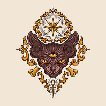 360x360 Cat Head Png, Vector, And Clipart With Transparent Background