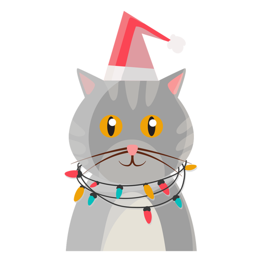 512x512 Christmas Cat Icon