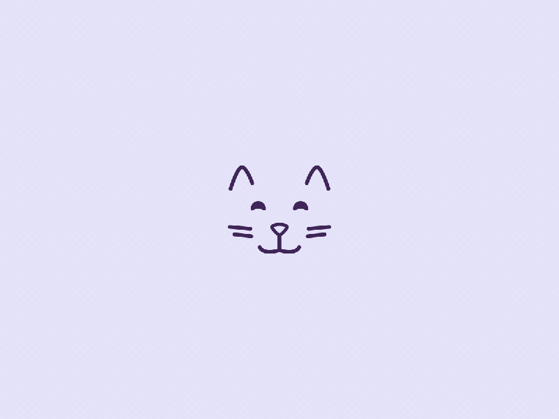 800x600 Cat Icon Vector