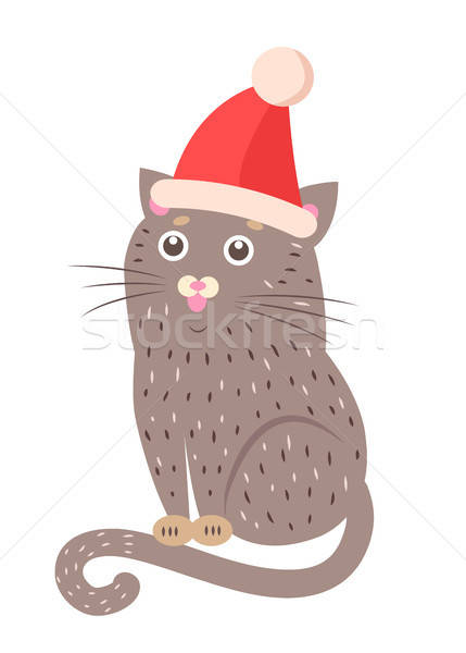 Closeup Of Funny Cat With Hat Vector Illustration Vector 429x600 Closeup Of Funny Cat With Hat Vector Illustration Vector