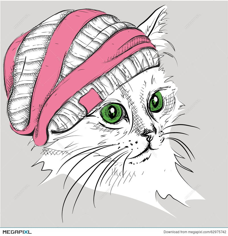 Hand Draw Cat In A Hat Vector Illustration Illustration 800x830 Hand Draw Cat In A Hat Vector Illustration Illustration