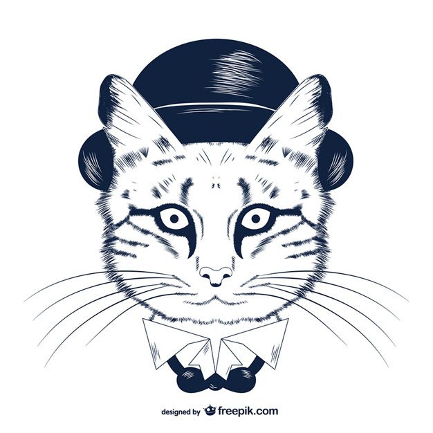 Hipster Cat In Bowler Hat Vector Free Download 626x626 Hipster Cat In Bowler Hat Vector Free Download