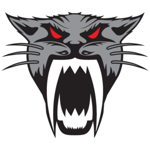 300x300 Arctic Cat Logo, Vector Logo Of Arctic Cat Brand Free Download