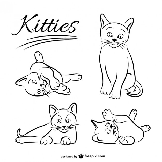 626x626 Cat Outline Vectors, Photos And Free Download