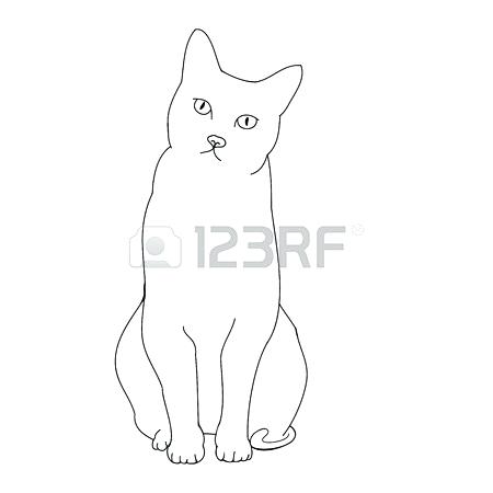 450x450 Cat Outline