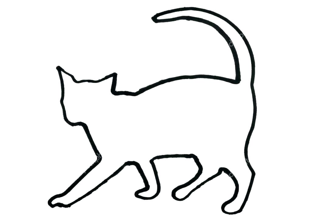 1023x734 Outline Of Cats