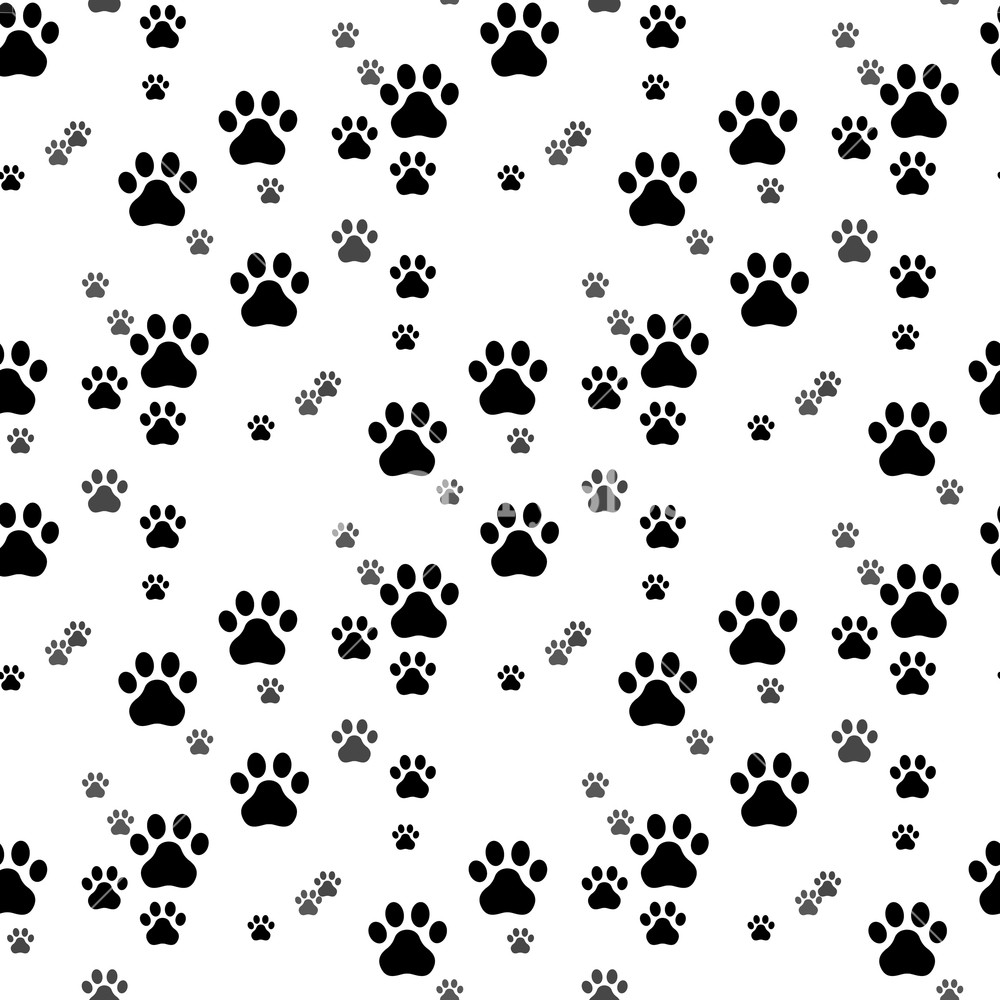 Paw Print Seamless Traces Of Cat Textile Pattern Cat Footprint 1000x1000 Paw Print Seamless Traces Of Cat Textile Pattern Cat Footprint