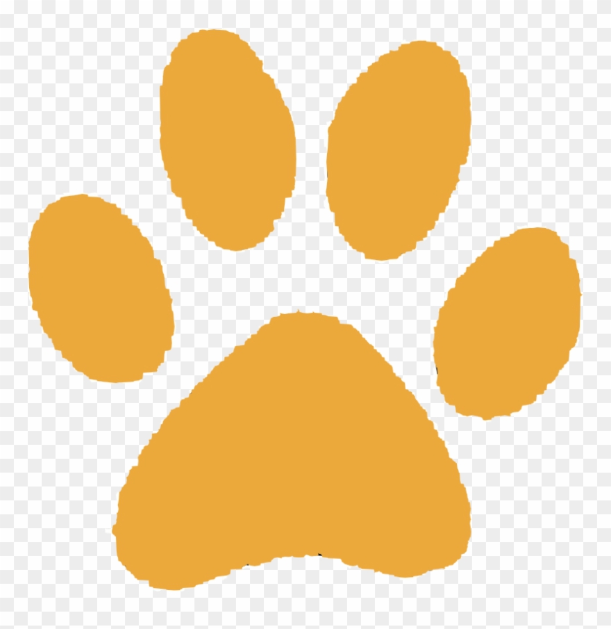 880x905 Paw Print Vector Icon