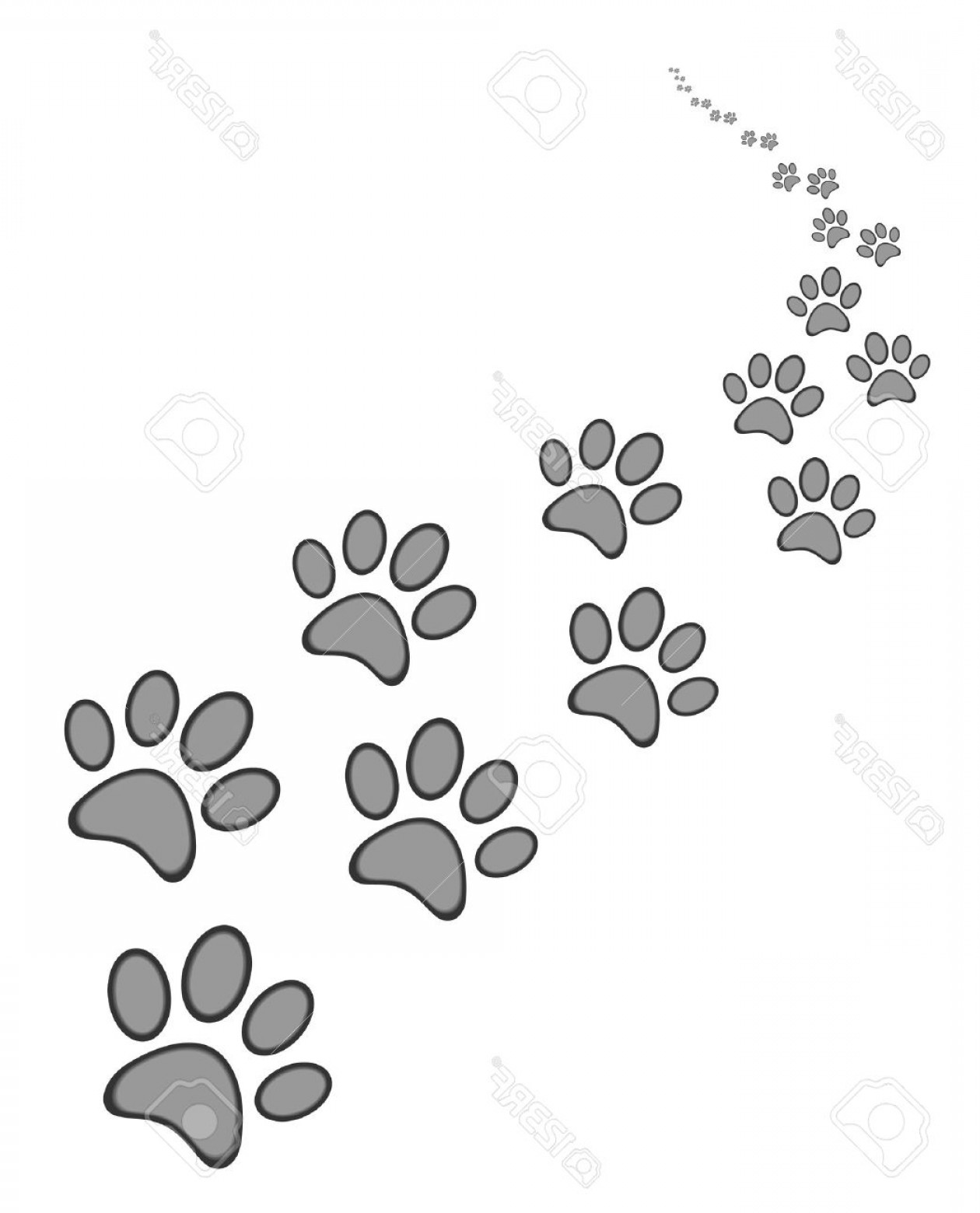 1260x1560 Photostock Vector Cute Dog Or Cat Paw Print On White Background