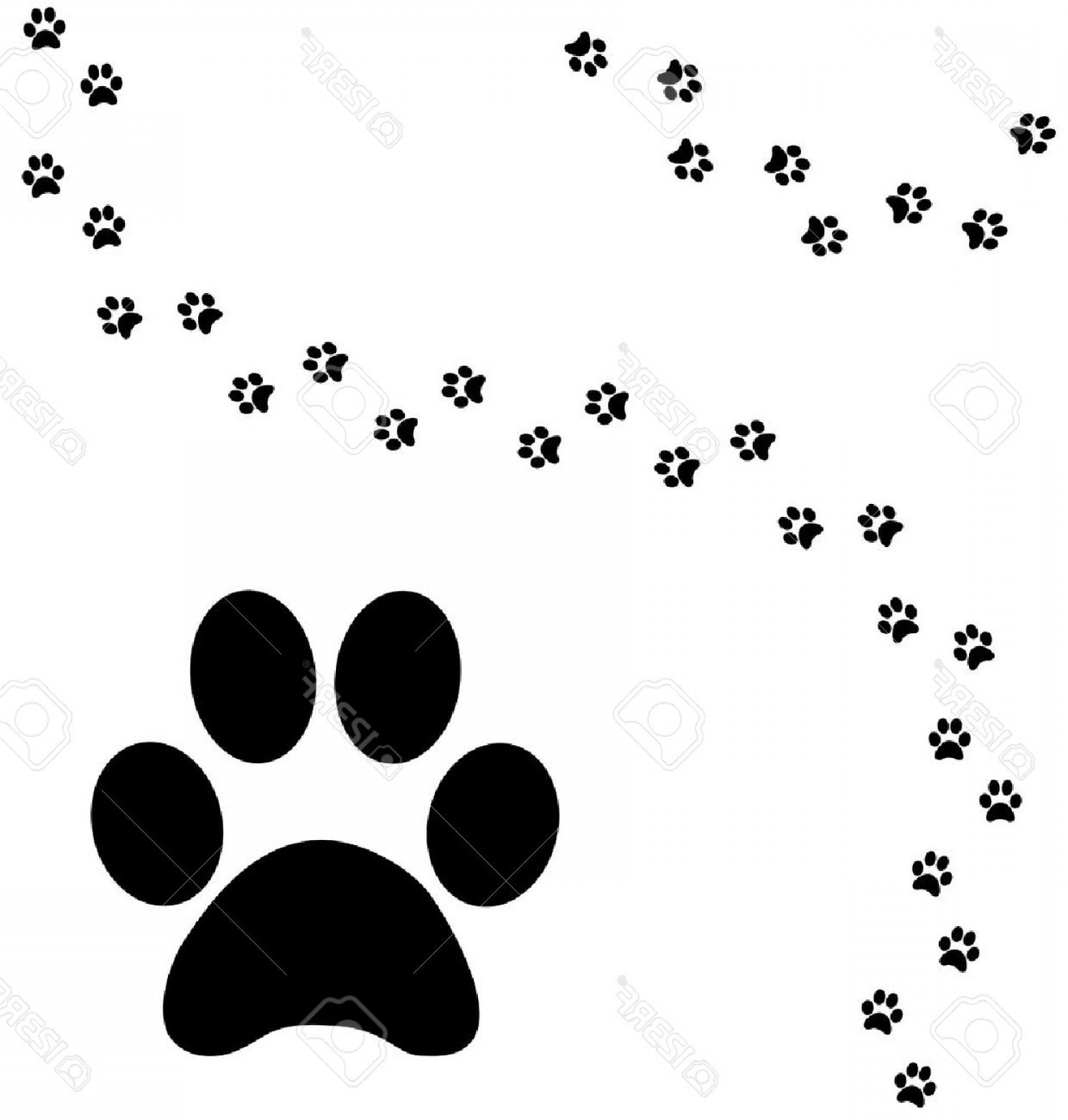 1488x1560 Realistic Paw Print Vector Hoodamath