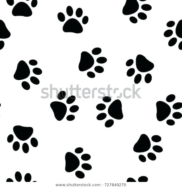 600x620 Kitty Paw Print
