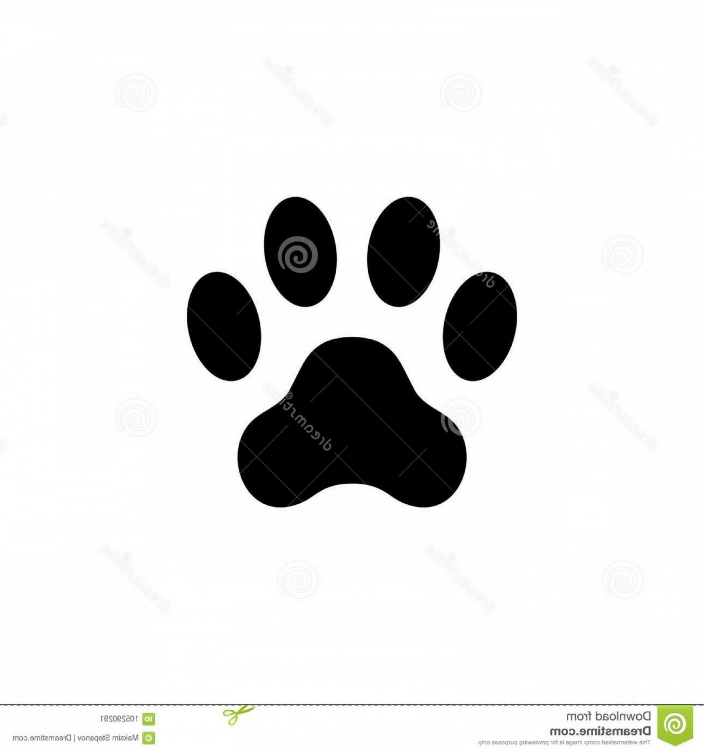 Cat Paw Print Footprint Animal Paw Isolated White Background 2246x2401 Cat Paw Print Footprint Animal Paw Isolated White Background