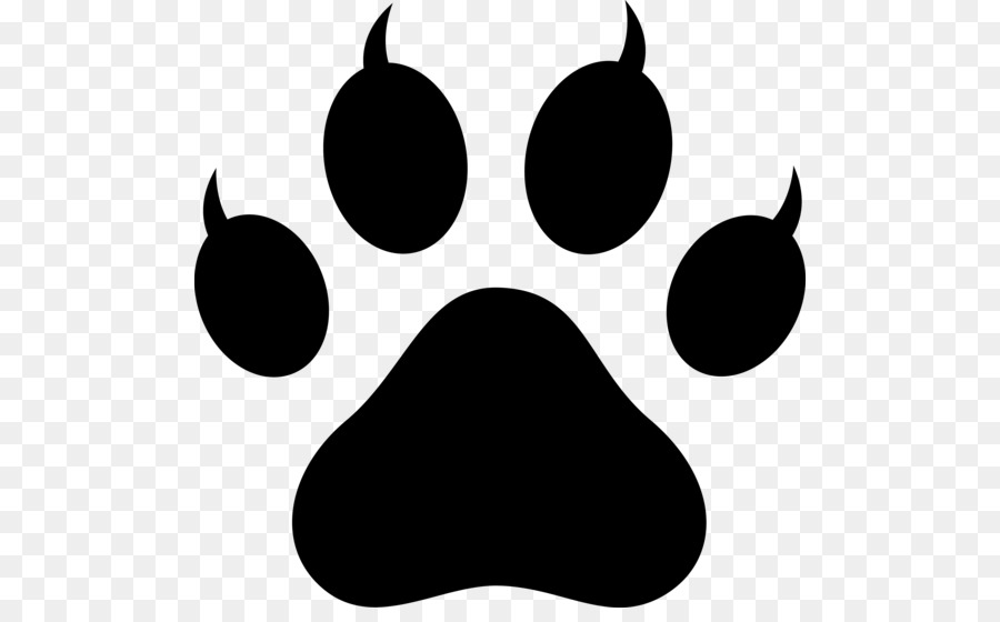 Dog Polydactyl Cat Paw Clip Art 900x560 Dog Polydactyl Cat Paw Clip Art