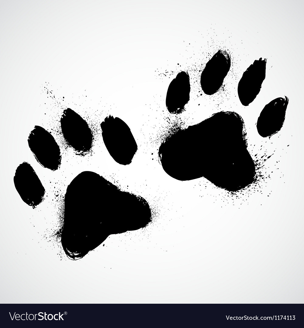 Dog Paws Vector 1000x1080 Dog Paws Vector