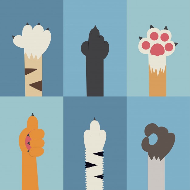 Paw Vectors, Photos And Free Download 626x626 Paw Vectors, Photos And Free Download