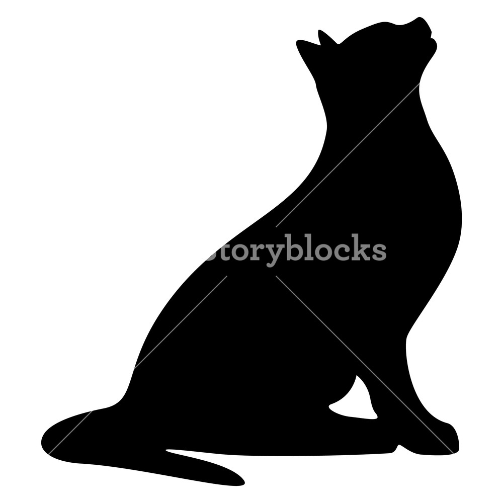 1000x1000 Cat Silhouette Vector Illustration Royalty Free Stock Image