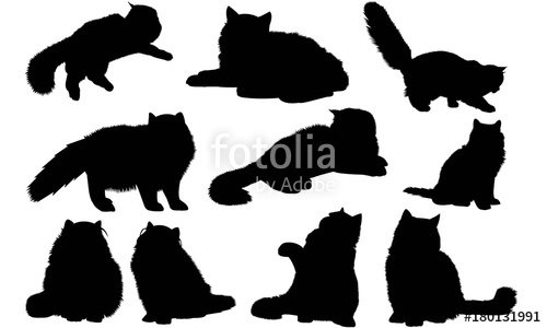 500x300 Persian Cat Silhouette Vector Graphics Stock Image And Royalty