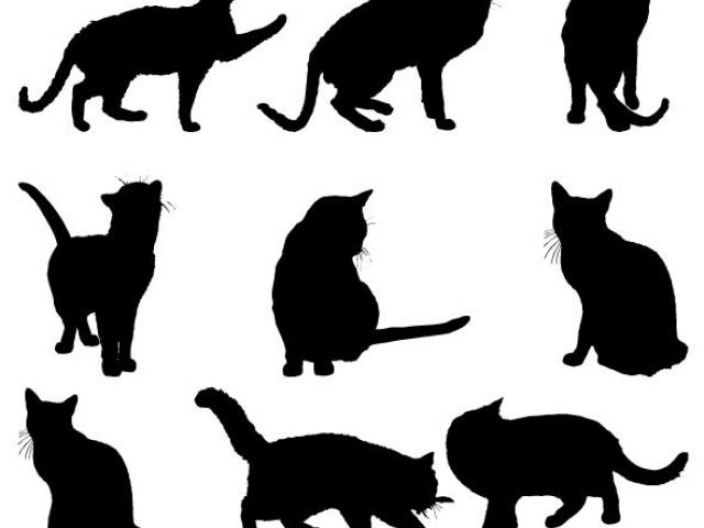 Cat Silhouette Vector Free 640x480 Cat Silhouette Vector Free