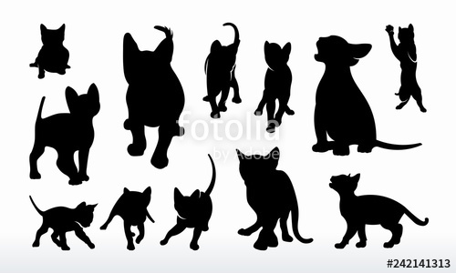Set Of Cat Silhouette Vector Illustration Stock Image And Royalty 500x300 Set Of Cat Silhouette Vector Illustration Stock Image And Royalty