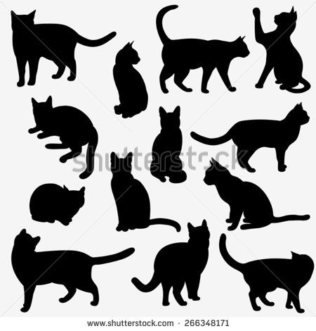 Set Of Cats Silhouettes On A White Background 450x470 Set Of Cats Silhouettes On A White Background
