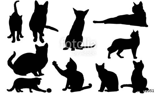 Siamese Cat Silhouette Vector Graphics Stock Image And Royalty 500x300 Siamese Cat Silhouette Vector Graphics Stock Image And Royalty