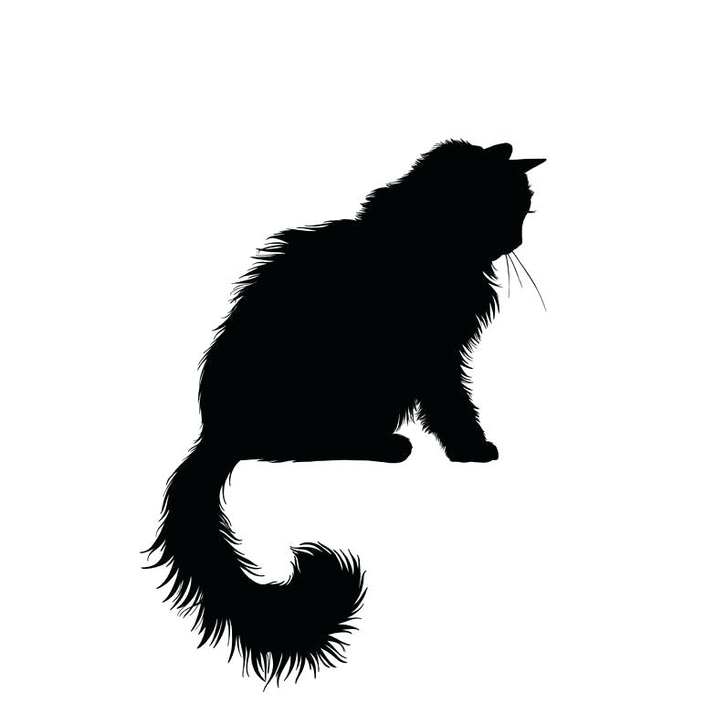 Cat Silhouette 794x794 Cat Silhouette