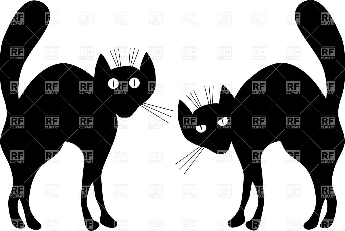 Силуэт черного испуганного кота