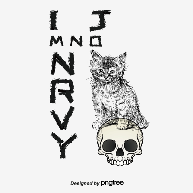 640x640 Cat Skull T Shirt, T Shirt Printing, Prints, Garment Printing Png