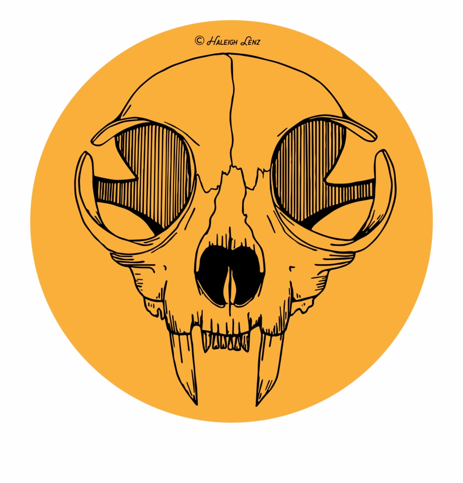 920x960 Cat Skull Vector Free, Transparent Png Download For Free