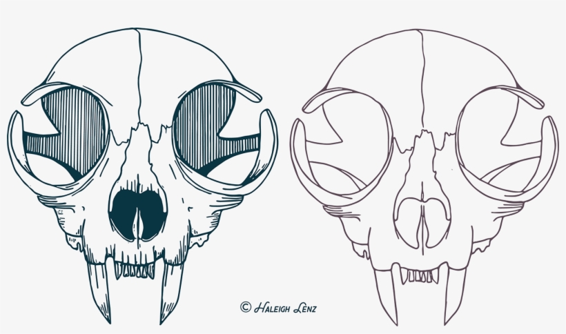 820x484 Cat Skull Vector Illustration On Behance Graphic Black