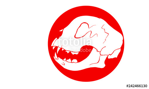 500x300 Cat Skull Stock Image And Royalty Free Vector
