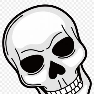 300x300 Photostock Vector Cat Skull Illustration Drawing Engraving Ink