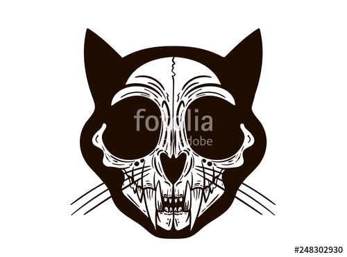 500x371 Cat Skull, T Shirt Print, Tattoo Stock Image And Royalty Free