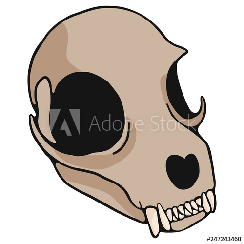 500x500 Cat Skull Cartoon Vector Illustration Motif Set Hand Drawn